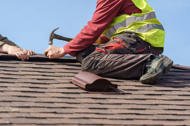 Best Roof Gutter Cleaning  in Ross, CA