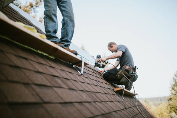 Professional Roofing Contractor in Ross, CA
